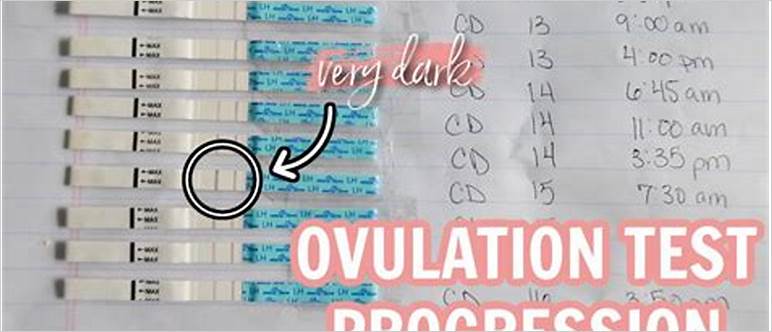 Ovulation line progression